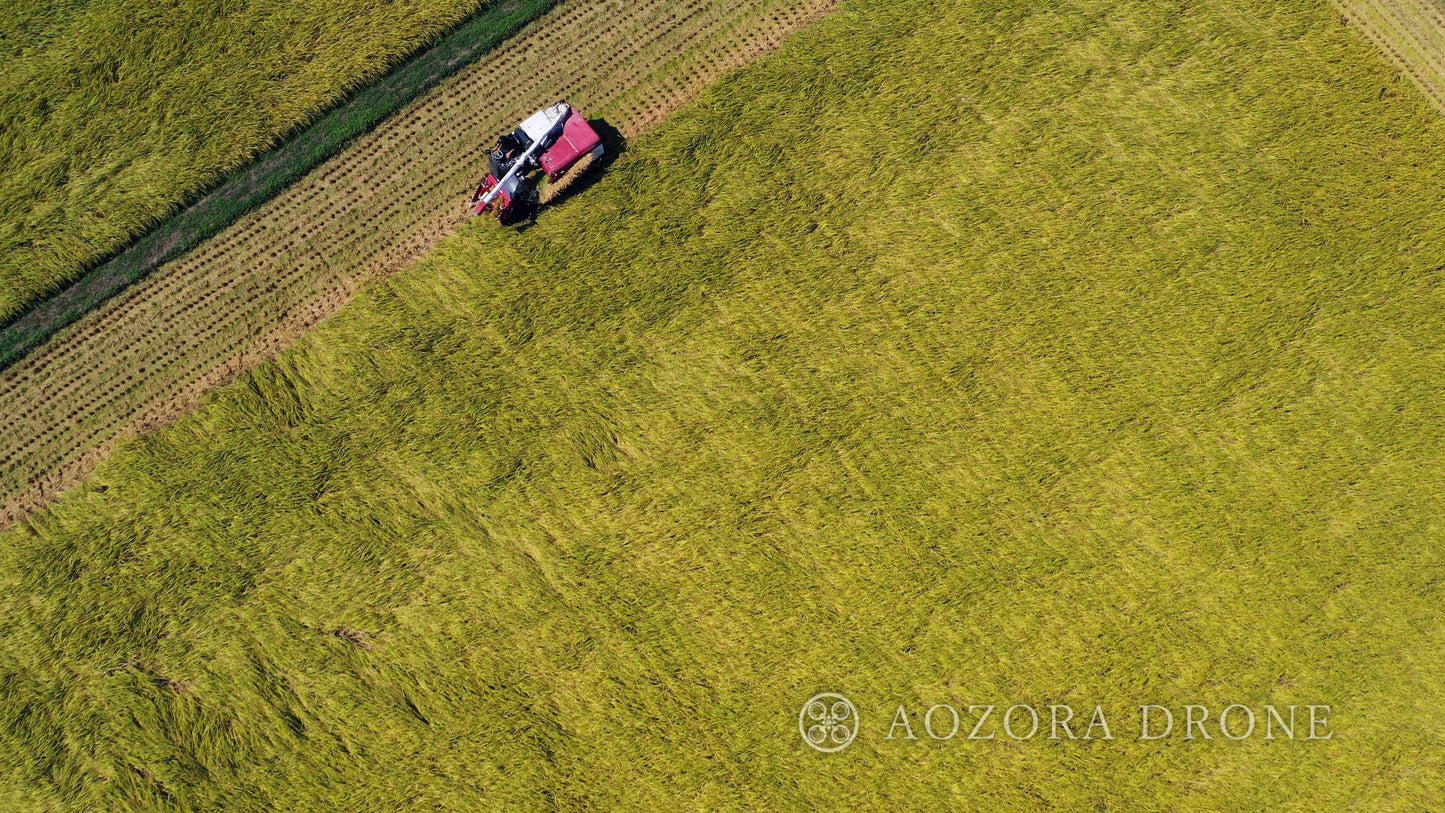 日本の田舎 田園と稲刈り ドローン画像素材 厳選5枚セット