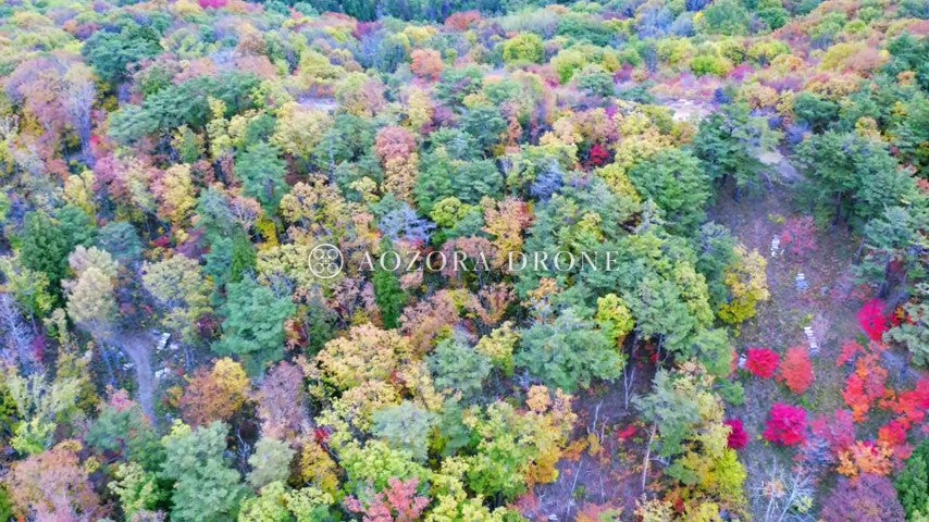 Yonezawa Basin Autumn leaves of "Nishimukinuma" in Mt. Shaheiyama Drone aerial video footage [Yamagata Prefecture Yonezawa City, Japan]