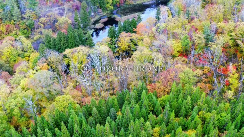 Yonezawa Basin Autumn leaves of "Nishimukinuma" in Mt. Shaheiyama Drone aerial video footage [Yamagata Prefecture Yonezawa City, Japan]