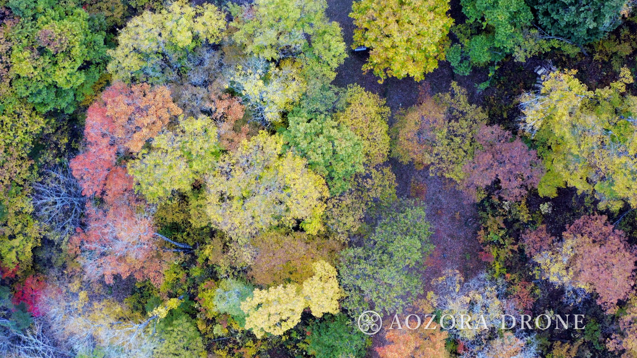 Yonezawa Basin "Nishimukanuma" autumn leaves in Shaheiyama Drone aerial photography image footage Carefully selected 5 piece set [Yamagata Prefecture Yonezawa City, Japan]