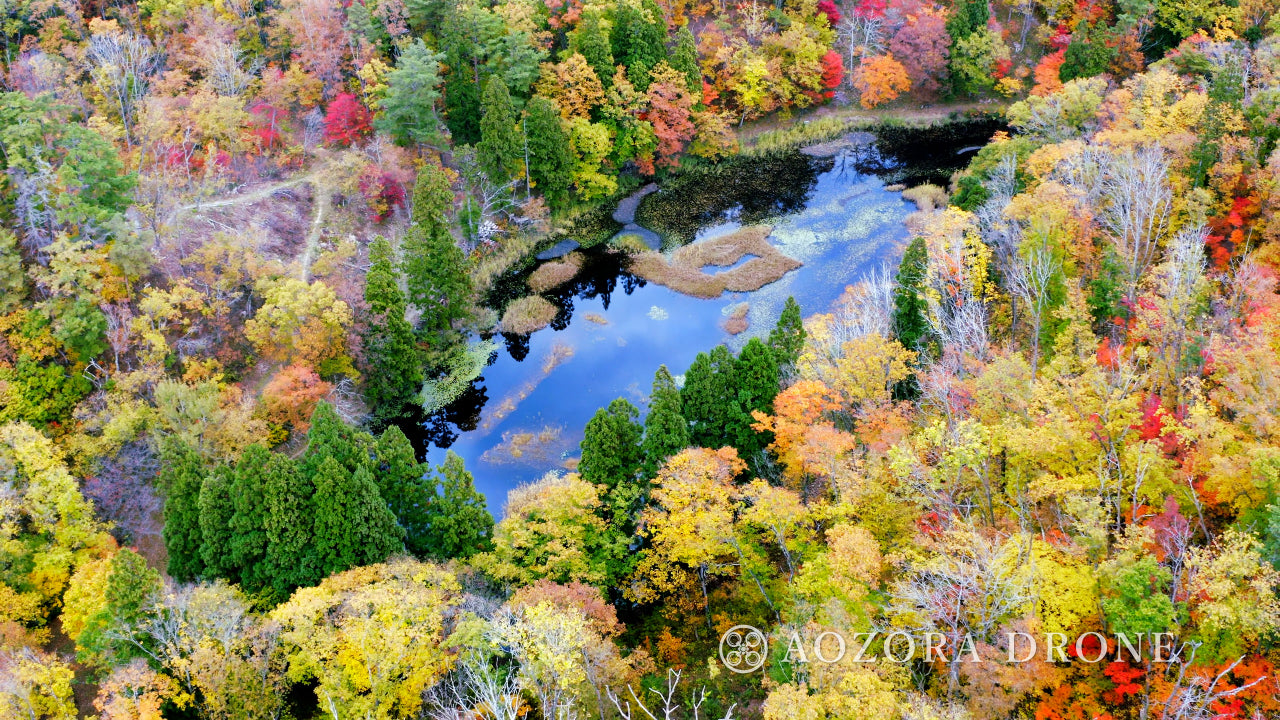 米沢盆地 斜平山にある「西向沼」秋の紅葉 ドローン空撮画像素材 厳選5枚セット【山形県・米沢市】