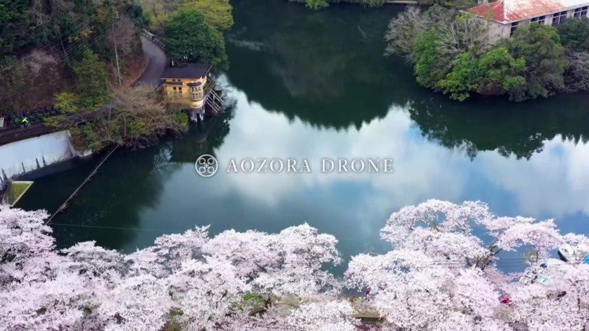 Image of the sky and spring cherry blossoms reflected in Oku Musashi "Lake Kamakita" Drone video footage [Moroyama Town, Saitama Prefecture, Japan]