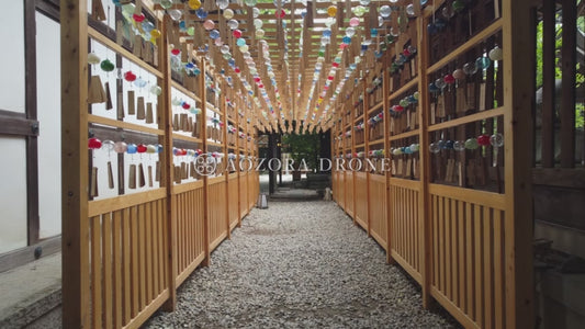 A wind chime tunnel that colors the precincts of a charming shrine Drone aerial video footage [Kawagoe City, Saitama ,Japan]