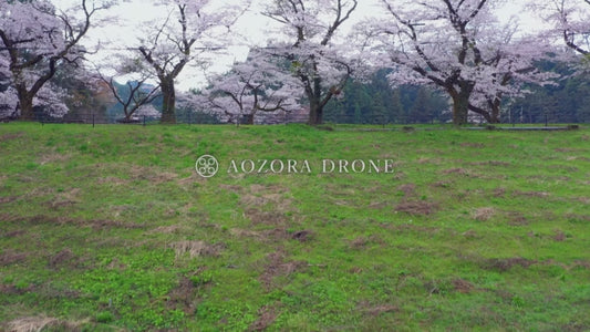 Mysterious "Lake Kamakita" and images of cherry blossoms in spring Drone video footage [Moroyama Town, Saitama Prefecture, Japan]