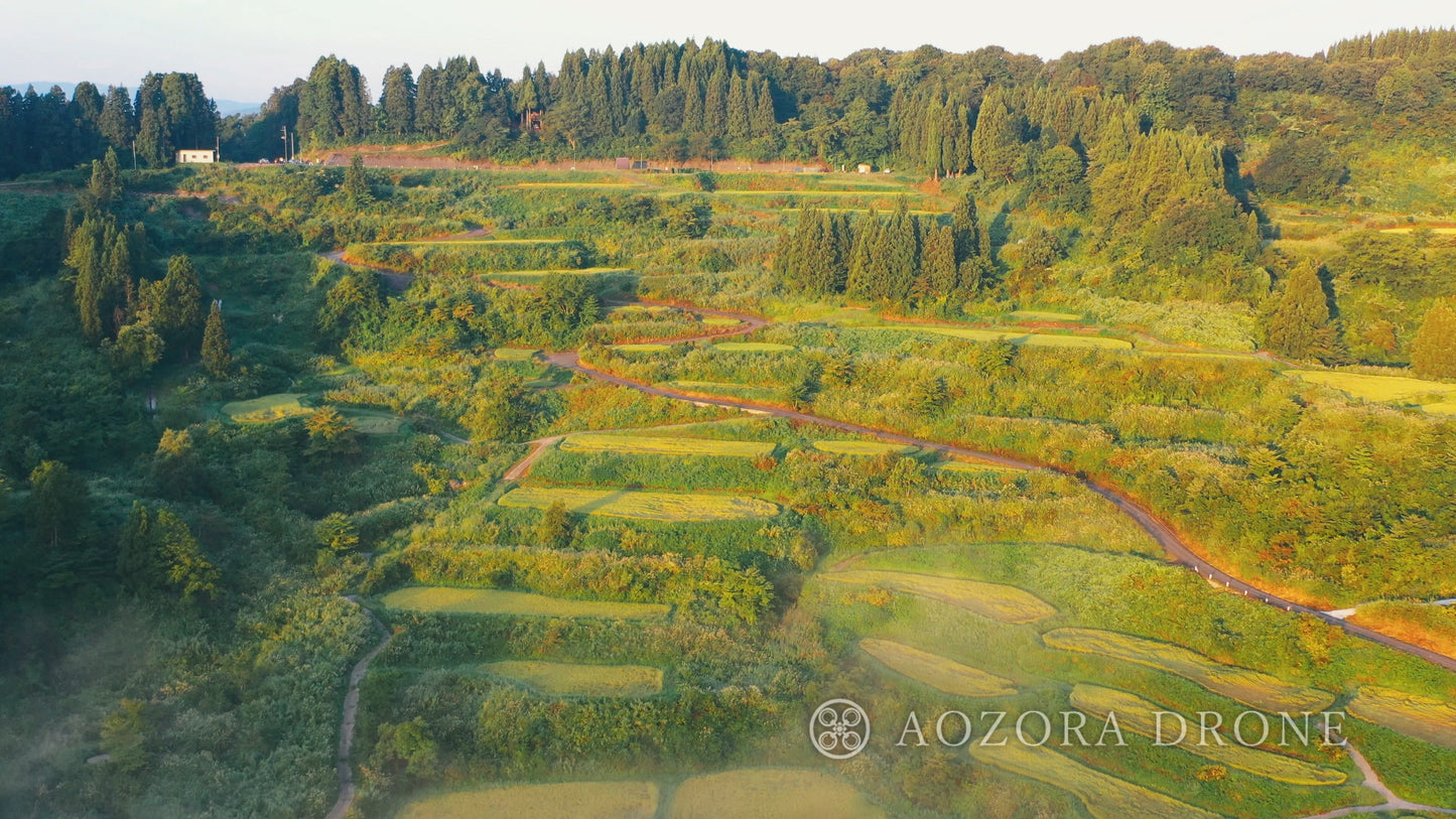 Japan's scenic spots "Echigo Matsushiro Rice Terraces, Hoshitouge Rice Terraces" Drone image material carefully selected 5-piece set [Tokamachi City, Niigata Prefecture]