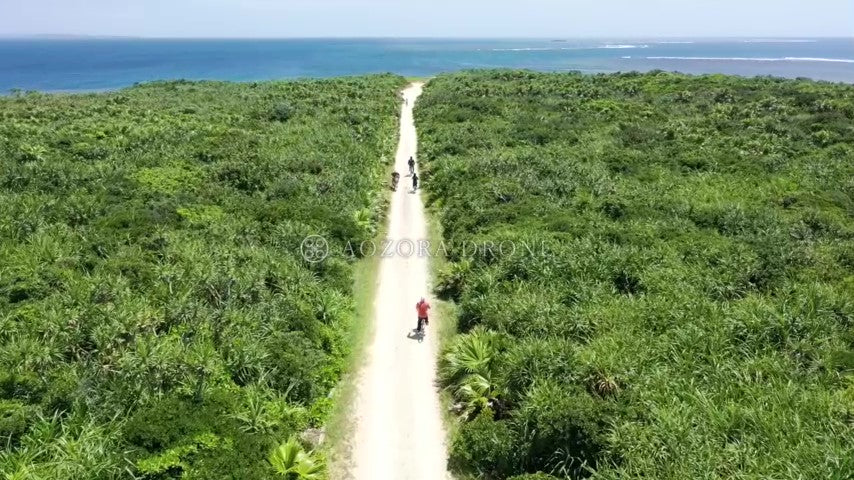 沖縄の風景と自転車